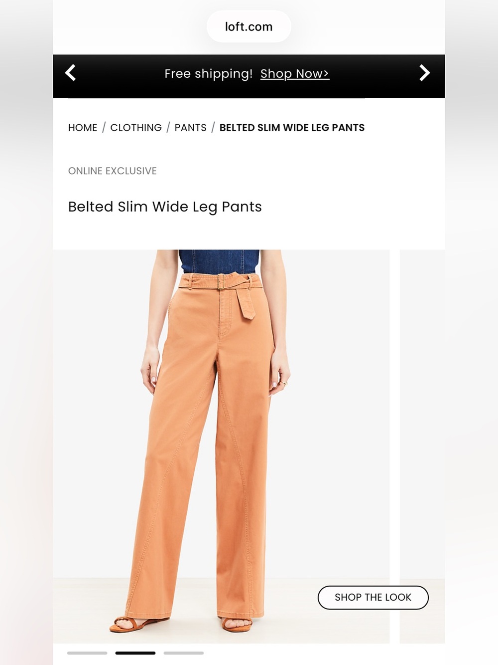 Loft Belted Slim Wide Leg Pants — Hazelnut